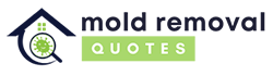 Rochester Mold Removal Experts